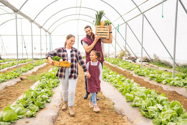 Child with parents on family farm, vegetables garden in greenhouse or self sustainable lifestyle in Brazil. Healthy agriculture plants, happy mother and father with fruit food basket walking together. - Photo, image