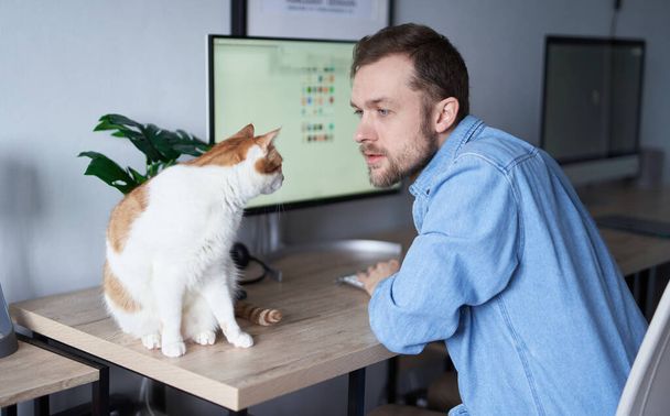 Young developer man in denim shirt. Adorable caucasian male freelance software engineer sitting at working place in home office using computer with tabby cat sitting on a table. High quality image - Photo, Image