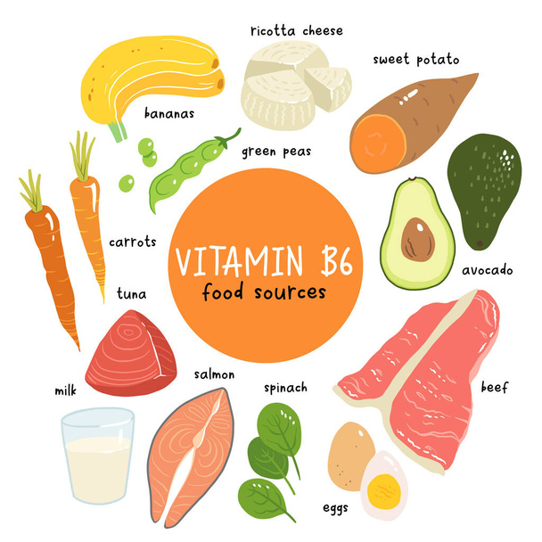 Вітамін b6 Векторна стокова ілюстрація. Продукти харчування з високим вмістом вітаміну b6. солодкий картопля, рикотський сир, молоко, лосось, тунець, авокадо, шпинат, яйця, морква, яловичина, зелений горох. бананові
 - Вектор, зображення