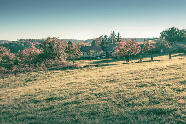 Hilly rural landscape in autumn season. High quality photo - 写真・画像