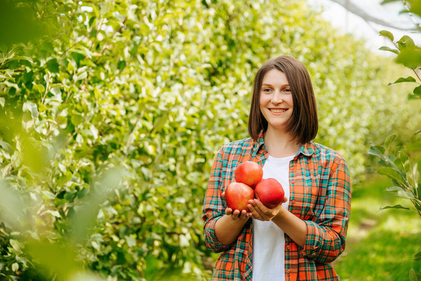 Cute young woman gardener joyfully holds picked apples in her hands. A smile on your face. The farmer girl must analyze and inspect the entire crop for further action. Front view copy space. - Foto, imagen