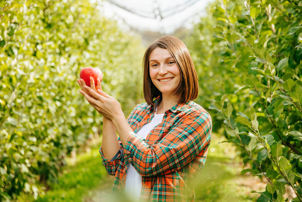 A smiling young woman farmer carefully holds a ripe red apple with both hands. An adult girl stands in an orchard smiling happily with a charming smile. Blurred background. - Фото, изображение
