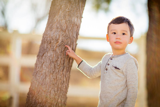 Outdoor portrait of a mixed race Chinese and Caucasian boy. - Foto, immagini