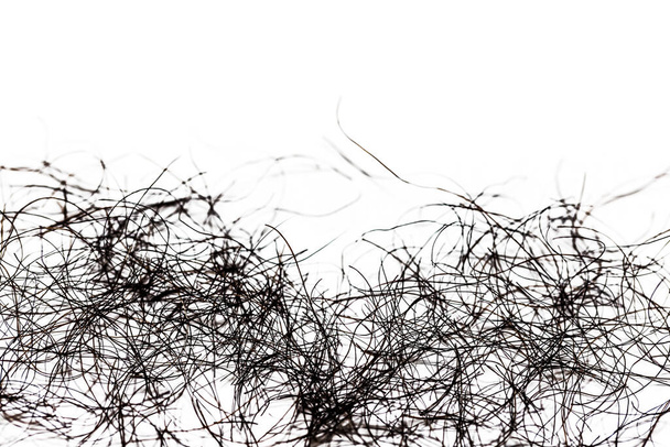 pubic hair fall isolated on white background - Valokuva, kuva