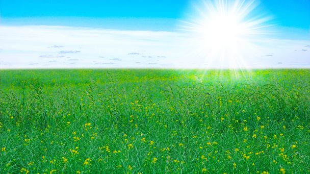 pole trawa, Błękitne niebo i słońce - Zdjęcie, obraz