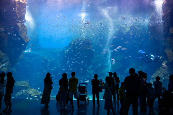 台湾桃園-2022年7月6日:台湾のXpark水族館 - 写真・画像