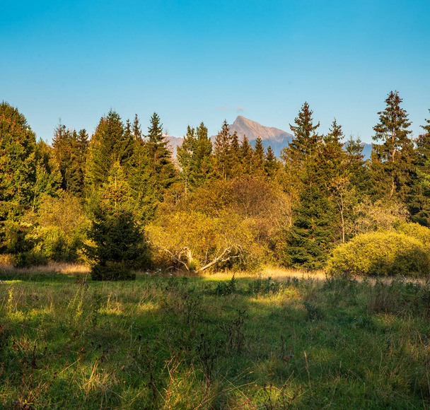 Криванская гора в Высоких Татрах с луга возле села Прибылина в Словакии - Фото, изображение
