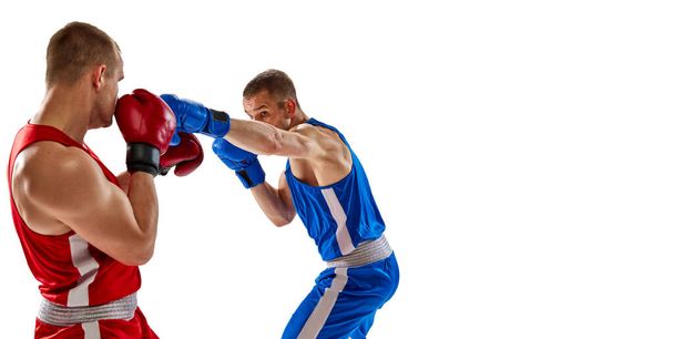 Left hook. Two twins brothers, professional boxers in blue and red sportswear boxing isolated on white background. Concept of sport, competition, training, energy. Copy space for ad, text - 写真・画像
