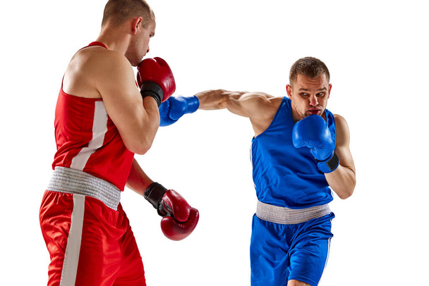 Fight. Dynamic portrait of two professional boxer in sports uniform boxing isolated on white background. Concept of sport, competition, training, energy. Copy space for ad, text - Fotoğraf, Görsel
