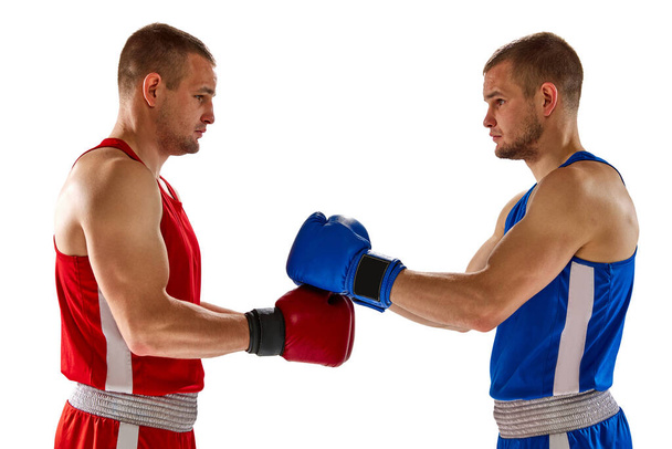 Greetins. Two twins brothers, professional boxers in blue and red sportswear boxing isolated on white background. Concept of sport, competition, training, energy. Copy space for ad, text - 写真・画像
