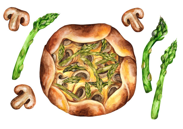 Open pie galette with asparagus and mushrooms on a white isolated background. Homemade cake with mushrooms. Watercolor hand drawn illustration. Suitable for menu and cookbook. Top view   - Photo, Image