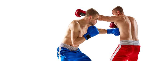 Battle of two boxers. Flyer with two muscular professional boxers in blue and red sportswear training isolated on white background. Concept of sport, competition, training, energy. Copy space for ad - Zdjęcie, obraz