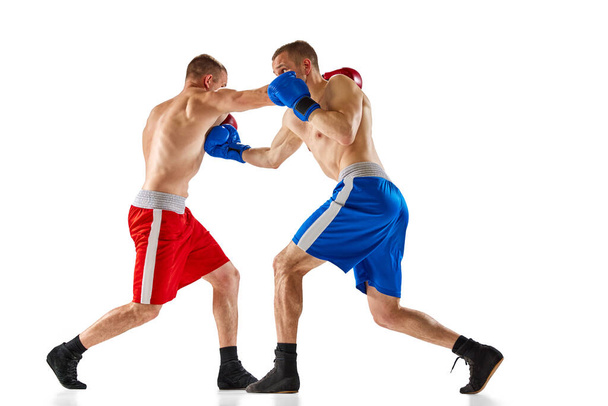 Fight. Dynamic portrait of two professional boxer in sports uniform boxing isolated on white background. Concept of sport, competition, training, energy. Copy space for ad, text - Фото, изображение