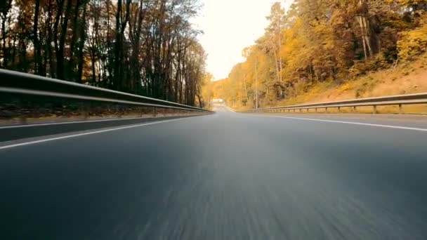 Vista trasera de un coche en una carretera de asfalto en un bosque de otoño. Conducción rápida en cámara lenta - Metraje, vídeo