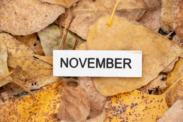 Un calendario de madera con cubos y el nombre del mes de noviembre se encuentra en las hojas amarillas de otoño en el bosque, calendario de papel pintado de otoño - Foto, Imagen