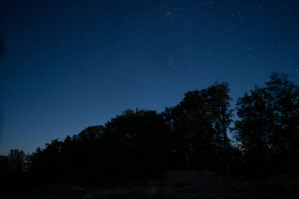 Yıldızlı gökyüzünün altındaki orman. Yüksek kalite fotoğraf - Fotoğraf, Görsel