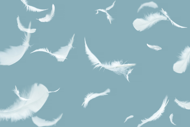 概要空中に浮かぶ白い鳥の羽の集団。空飛ぶ羽. - 写真・画像