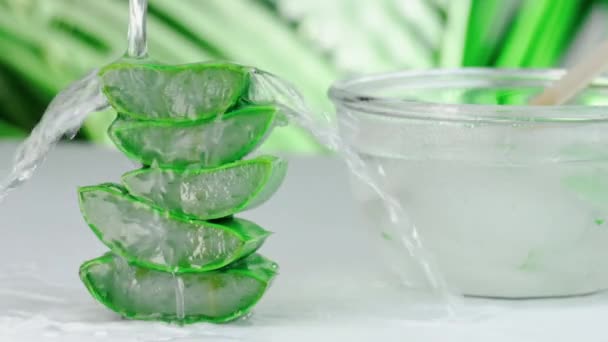 Hand stirring fresh aloe vera juice in glass bowl and sliced natural organic aloe vera on nature background. medicine and beauty concept. - Footage, Video