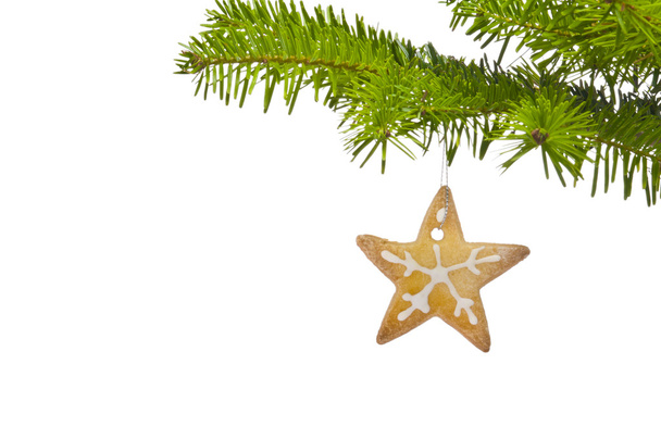 a cookie díszített karácsonyfa ága - Fotó, kép