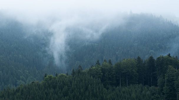ボヘミアの東で最高の神秘的な雰囲気と黄金の日の出の間に霧の山と森の風景. - 写真・画像