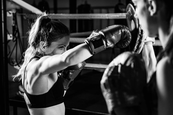 Femmes en formation de boxe  - Photo, image