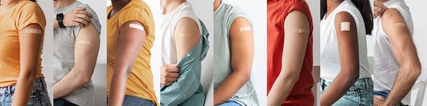 Multiracial group of people unrecognizable men and women in casual outfits showing their shoulders with bands on, got vaccinated against coronavirus, cropped, web-banner, collage - Photo, Image