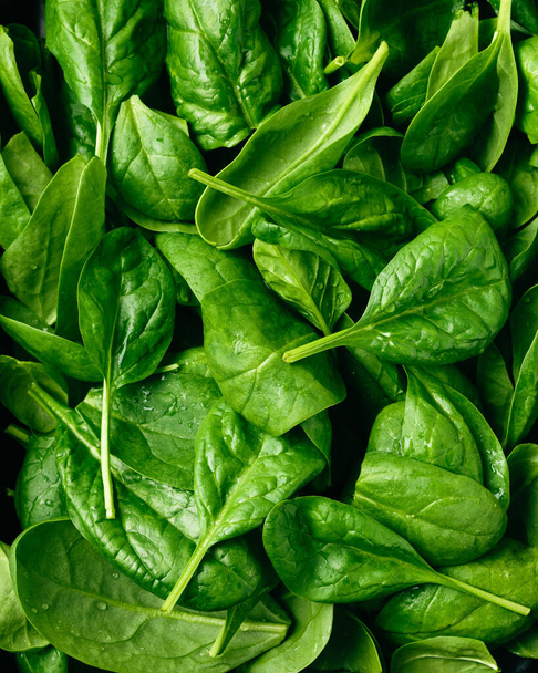 Fresh green baby spinach leaves close up. - Photo, Image