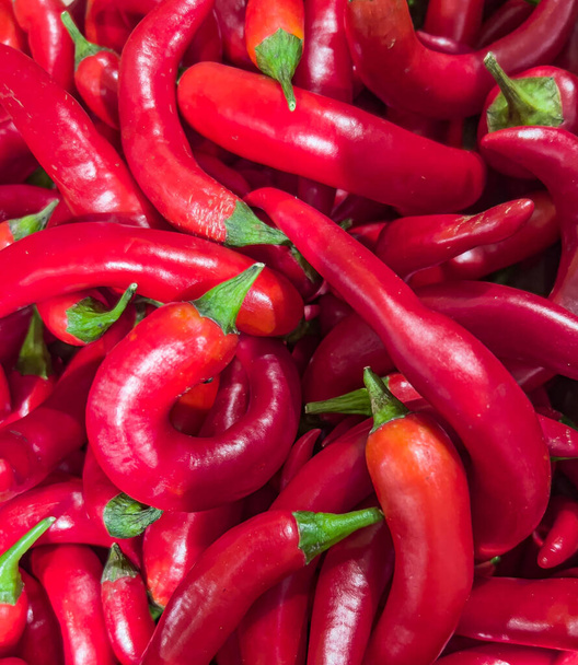 Σωρός κόκκινου πιπεριού τσίλι. πάνω άποψη της τσίλι φόντο πιπέρι. επίπεδη ωοτοκία  - Φωτογραφία, εικόνα