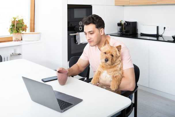 Felice bell'uomo abbraccia il suo cane da compagnia Norwich Terrier e lavora sul computer portatile a casa - Foto, immagini