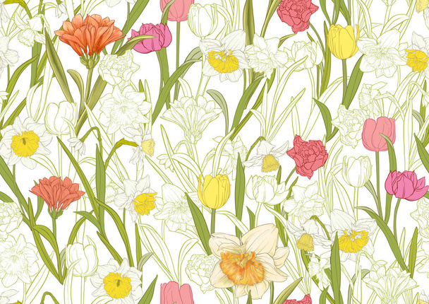 White daffodils and tulips flowers, the early spring flowers. Seamless pattern, background. Vector illustration. In botanical style - Vektor, Bild