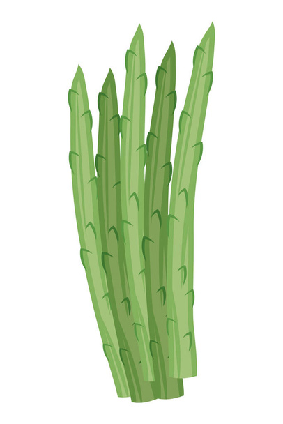 asperges légumes frais icône isolée - Vecteur, image
