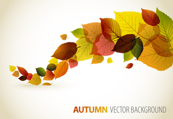 Fall abstract floral background - Vector, Image