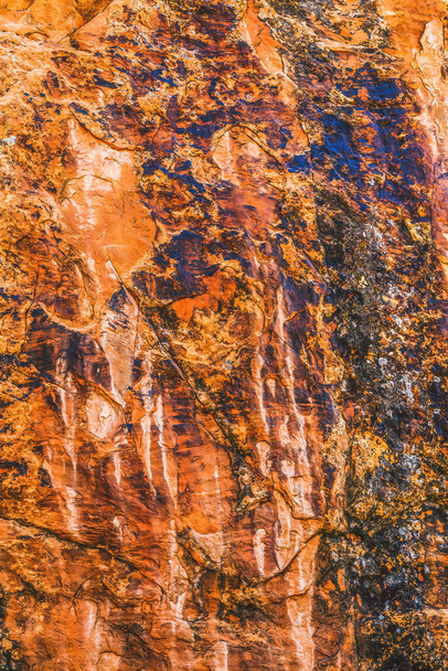 Brown Yellow Orange Rock Canyon Abstract Devils Garden Arches National Park Moab Utah USA Southwest. Lichens on red canyon walls create many abstracts close up.   - Foto, Imagem