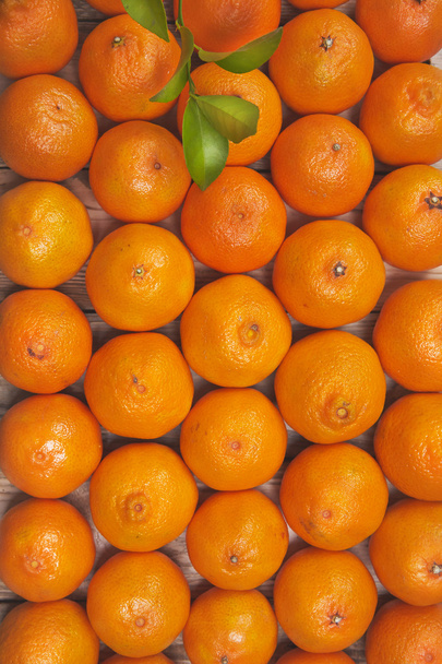 Tangerines - Zdjęcie, obraz