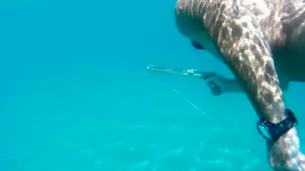 Búvár a víz alatt - Felvétel, videó