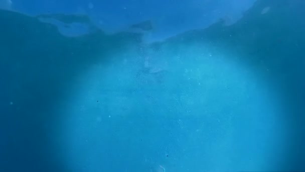 підводний рибалки
 - Кадри, відео