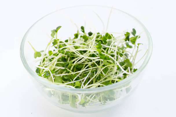 Organic kale sprouts. Healthiest vegetables concept - Foto, Bild