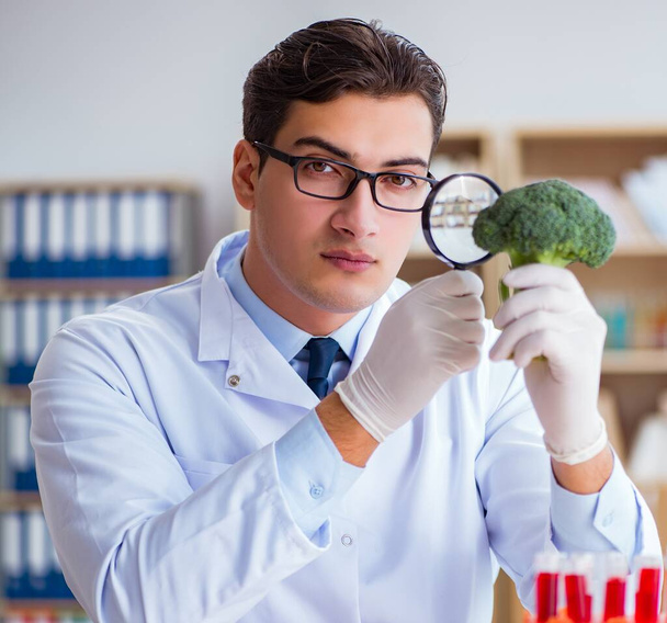 Lo scienziato che lavora su frutta e verdura biologica - Foto, immagini