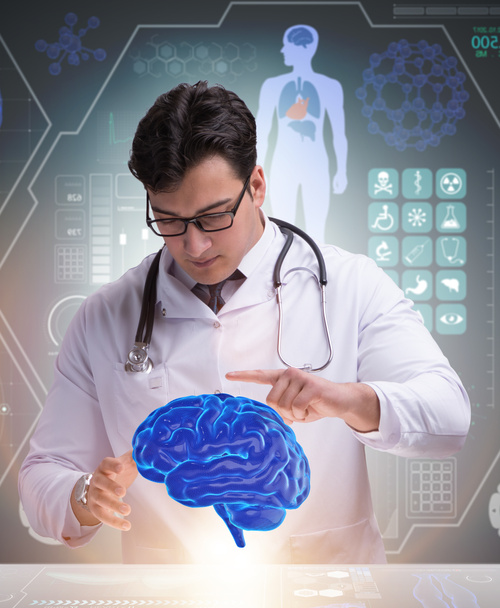 The male doctor with the brain in medical concept - Photo, Image