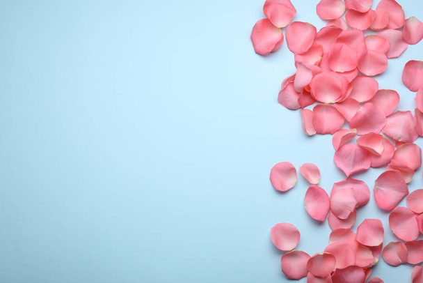 Bella rosa petali di fiori di rosa su sfondo azzurro, posa piatta. Spazio per testo - Foto, immagini