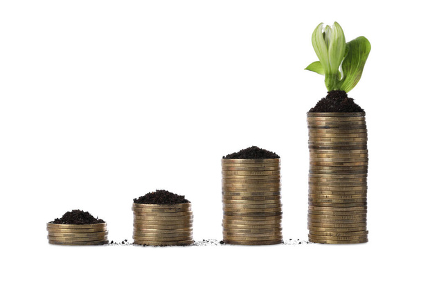 Stacks of coins and green plant on white background. Investment concept - Foto, Imagen