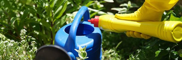 Gardener pouring watering can of fertilizer for plants closeup. Gardening improve soil fertility concept - Фото, изображение