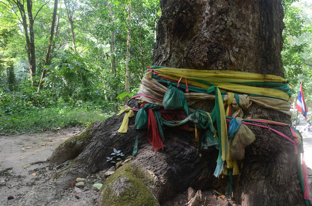 Three colors of cloth tied to the auspicious tree are yellow, green and pink. According to the belief that there are sacred things and the culture of Thai people that has been around for a long time - Photo, Image