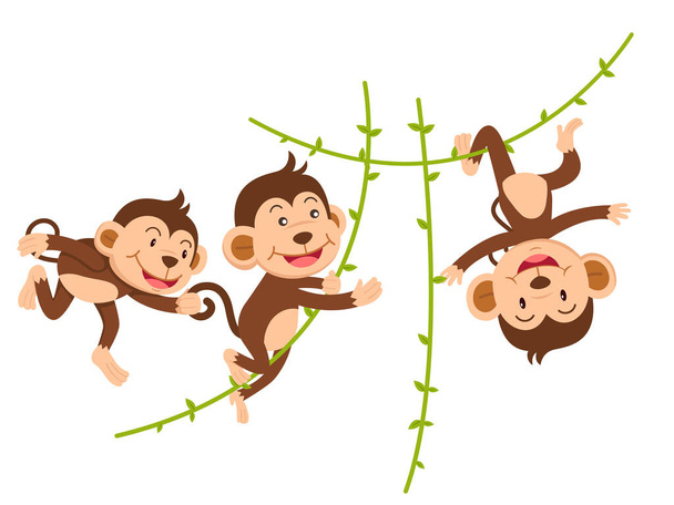 The monkey hangs on a branch isolated vector illustration - Vector, Image