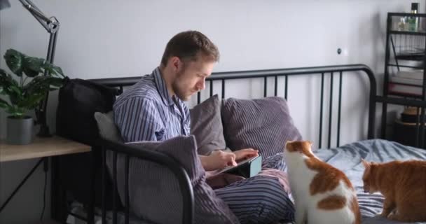 Blanke bebaarde jongeman met een tablet in bed in een pyjama en twee katten in zijn buurt. Afstandelijk werk van thuiskantoor, freelance werk, surfen op het web of online onderwijs. 4k video - Video