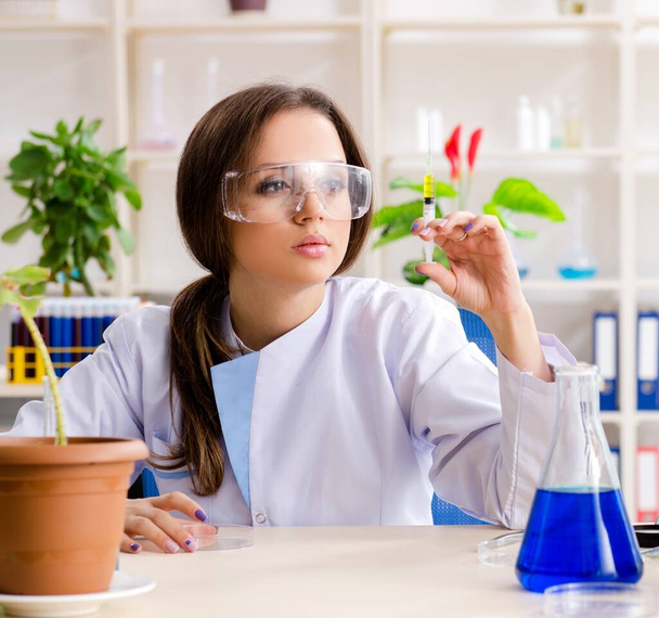 The young beautiful biotechnology chemist working in the lab - Zdjęcie, obraz