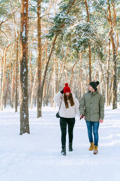 Verliefd stel wandelt door het met sneeuw bedekte winterpark. Verticaal frame. - Foto, afbeelding