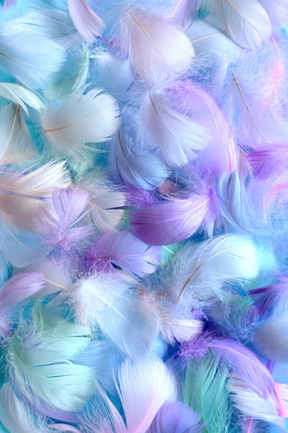 Angelical Pastel teñido Fondo de plumas blancas - pequeñas plumas azules esponjosas dispersas aleatoriamente formando un fondo. - Foto, imagen