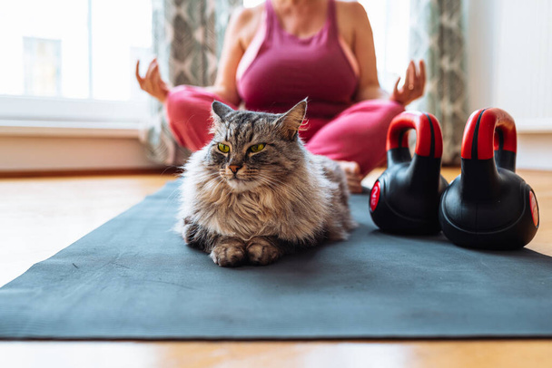 Yoga mit Haustieren. Die häusliche flauschige Maine Coon Katze sitzt auf einer Sportmatte, blickt in die Kamera vor dem Hintergrund einer nicht wiedererkennbaren Frau mittleren Alters von großer Statur, blond, in Lotusposition sitzend - Foto, Bild