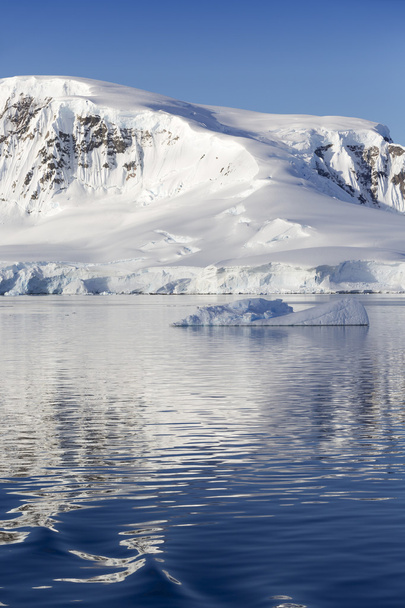 Natura e paesaggi dell'Antartide
 - Foto, immagini